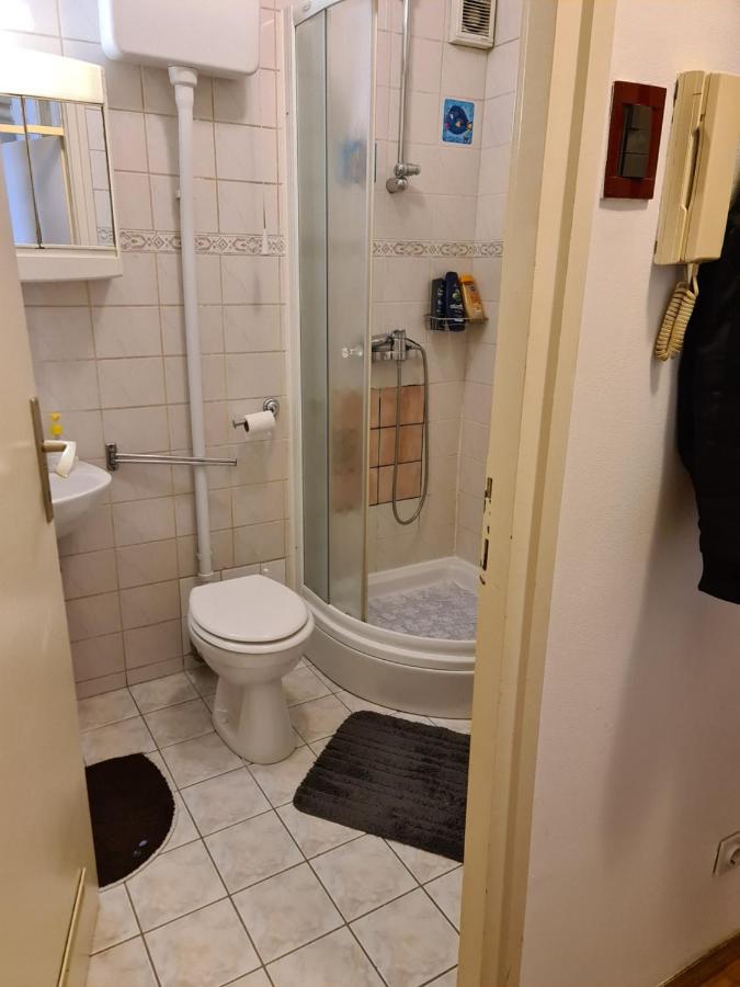 Apartman U Velikoj Gorici Zeljko Velika Gorica Exterior foto